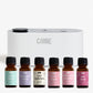 Waterless Fragrance Oil Diffuser Gift Set