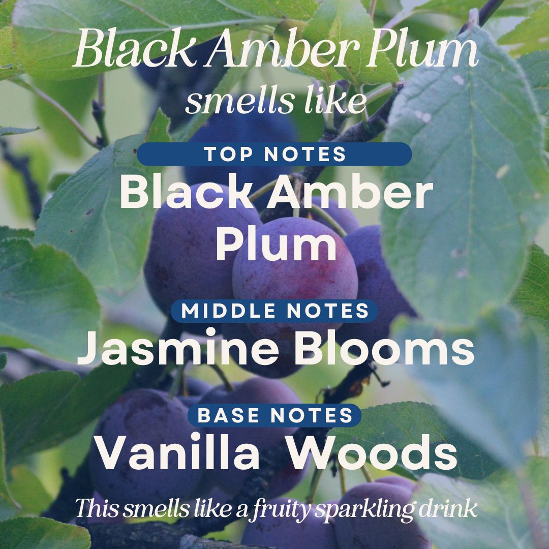 Black Amber Plum 4 oz Room Spray