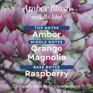 Amber Blush