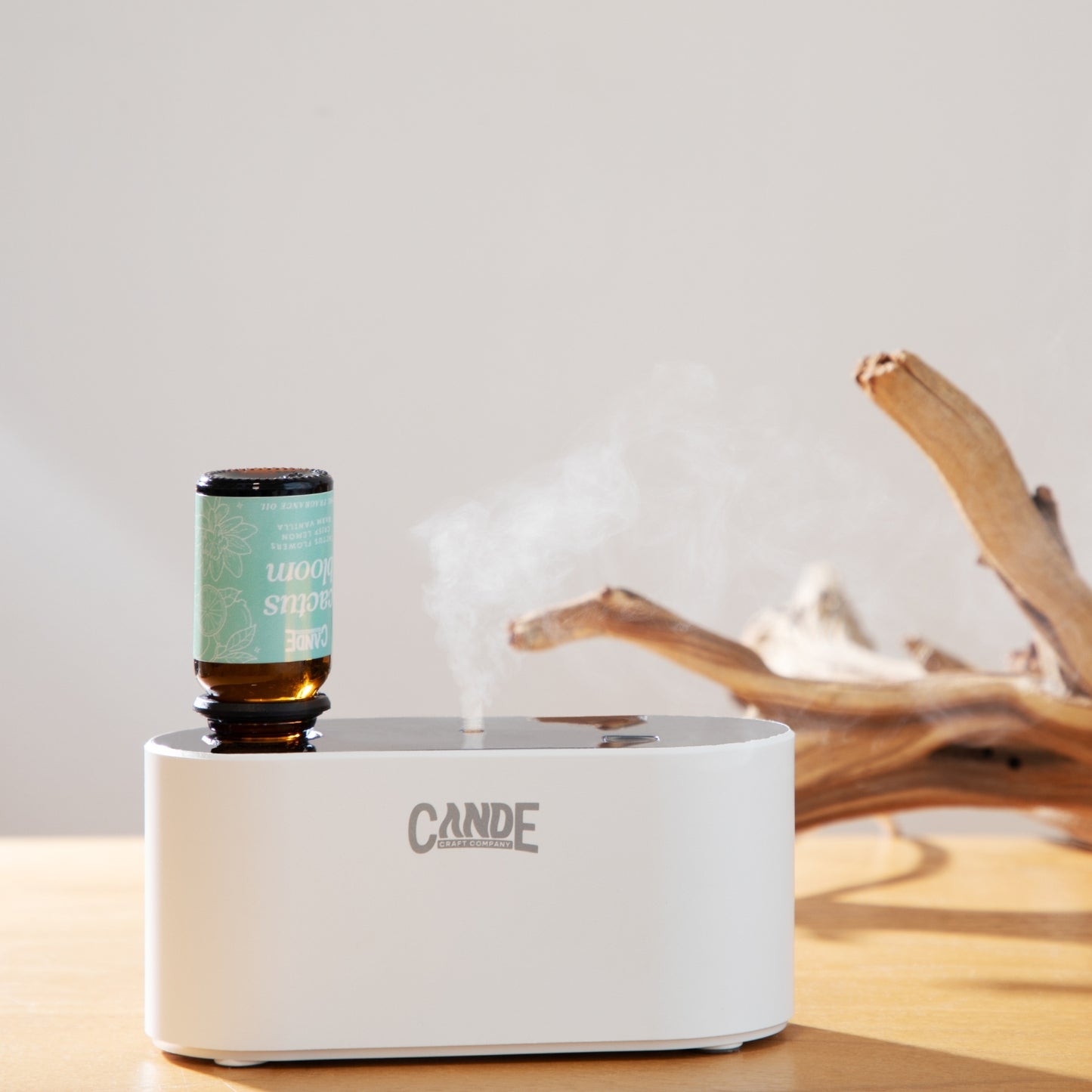 Waterless Fragrance Oil Diffuser Gift Set