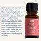 Scented Premium Fragrance Oil