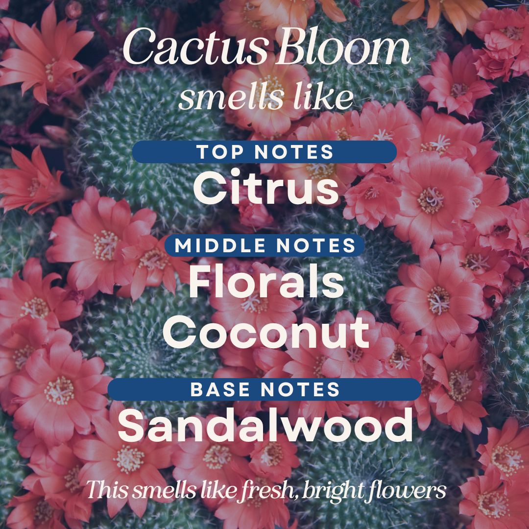 Cactus Bloom 4 oz Room Spray