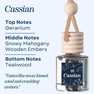 Bookish Scented Car Freshener - Long Lasting - Air Car Diffuser