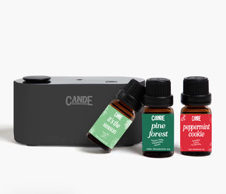 Waterless Fragrance Oil Diffuser Gift Set
