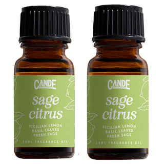 Scented Premium Fragrance Oil Multi Pack - Long-lasting Fragrance for Home