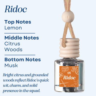 Bookish Scented Car Freshener - Long Lasting - Air Car Diffuser