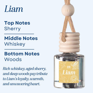 Bookish Scented Car Freshener - Long Lasting - Air Car Diffuser