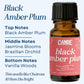 Scented Premium Fragrance Oil