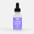 Wonderstruck Fragrance Oil Refill