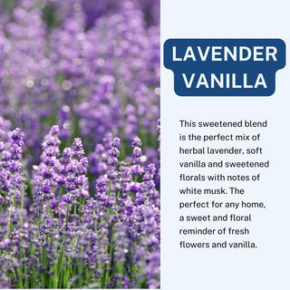 Lavender Vanilla Scented Car Freshener Vehicle Air Fresheners CE Craft 