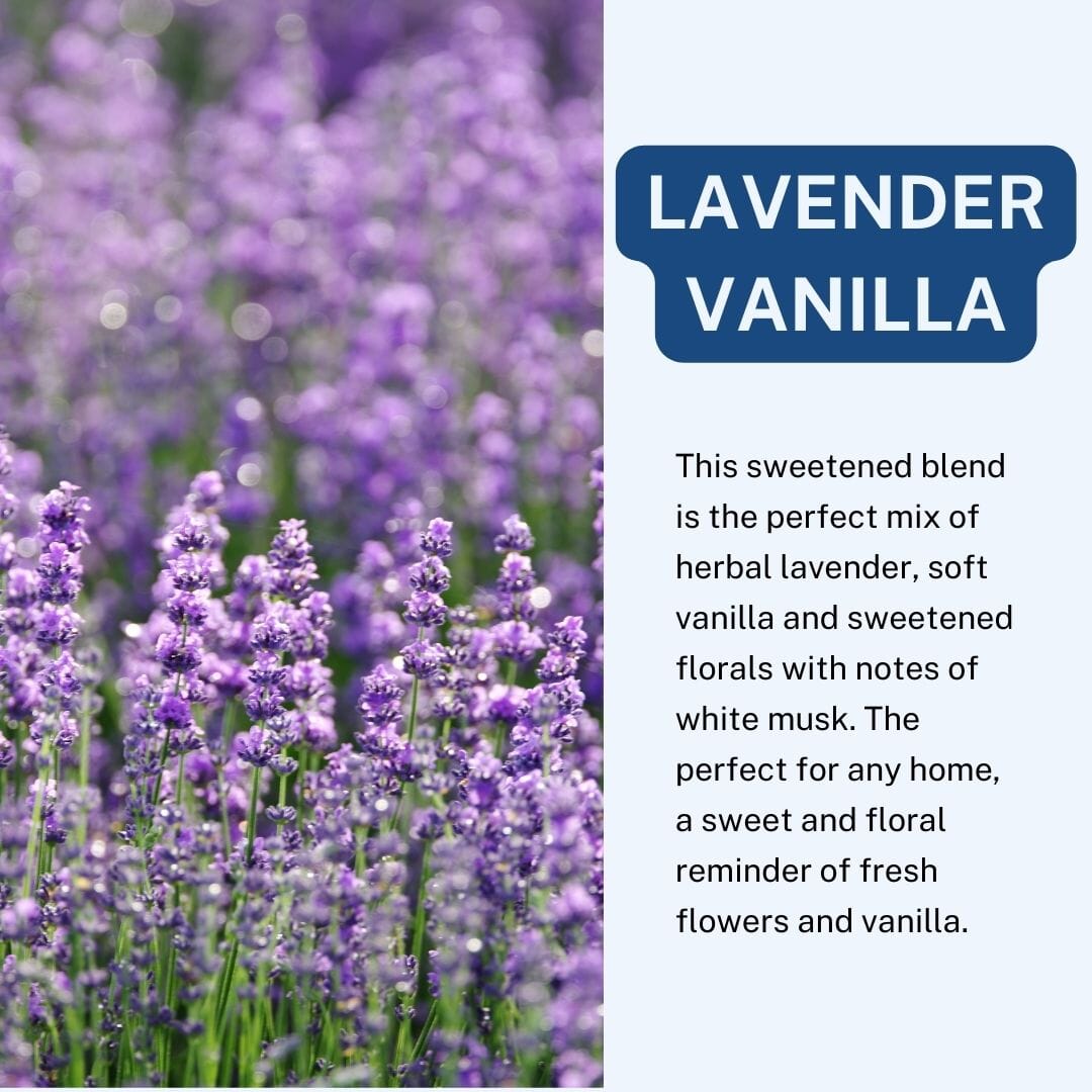 Lavender Vanilla Scented Car Freshener Vehicle Air Fresheners CE Craft 