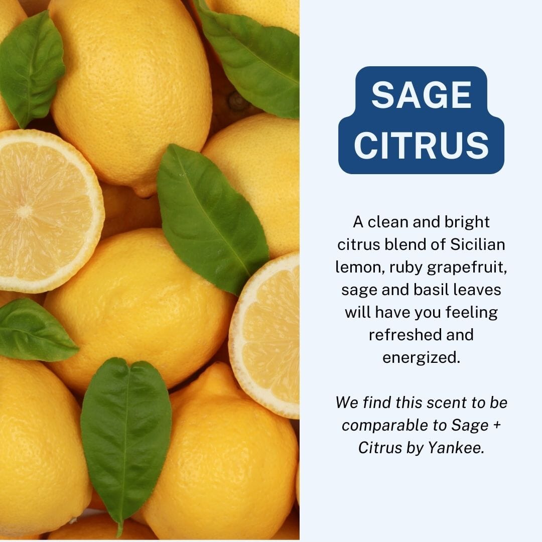 Sage Citrus Scented Car Freshener Vehicle Air Fresheners CE Craft 