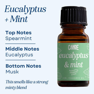 Scented Premium Fragrance Oil C & E Craft Co Eucalyptus & Mint 