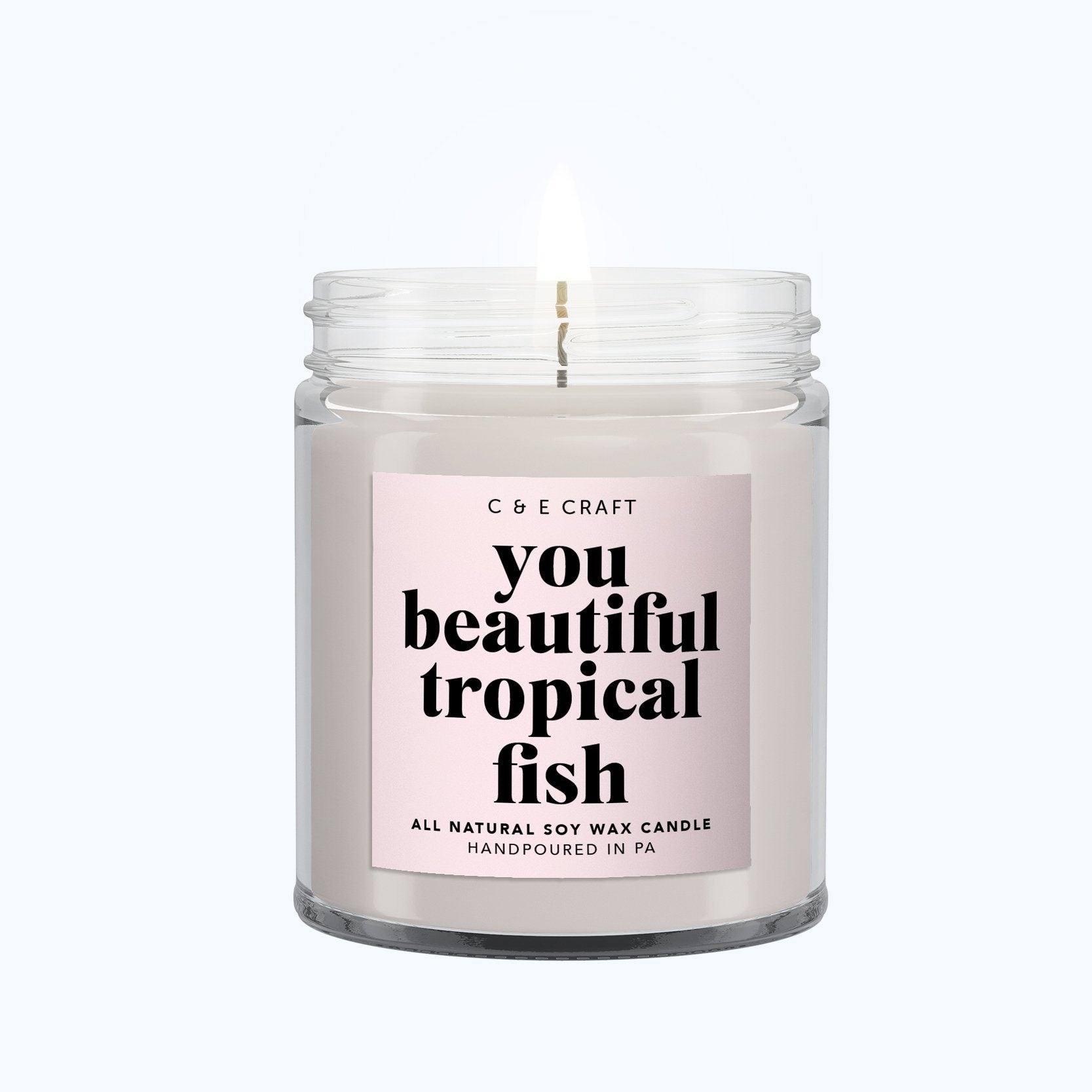 You Beautiful Tropical Fish C & E Craft Co 